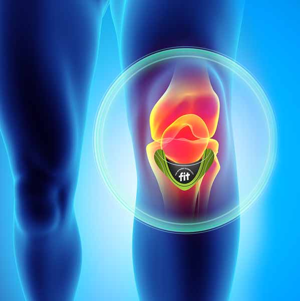 FIT THERAPY KNEE PATCH