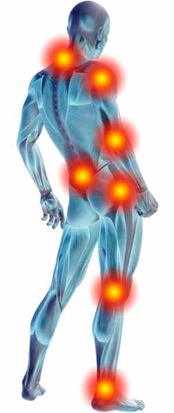 FIT THERAPY UNIVERSAL PATCH